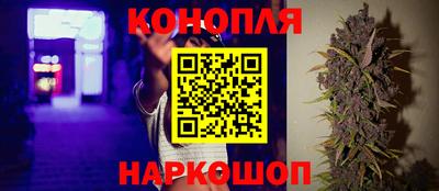 прущие грибы Тверь