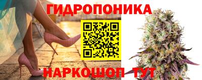 прущие грибы Тверь