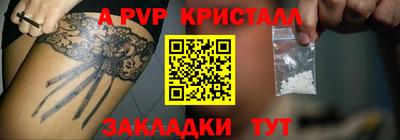 прущие грибы Тверь